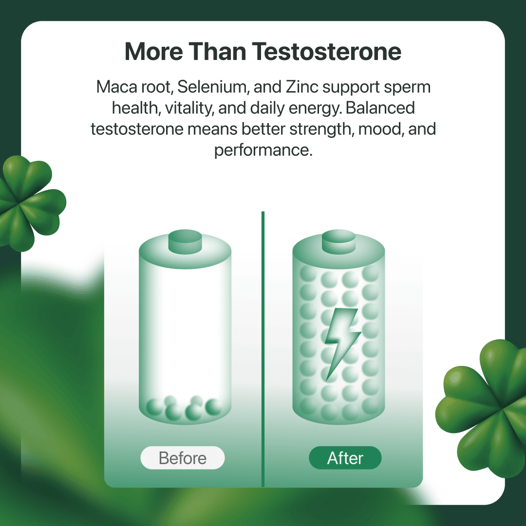 Formula 03: Testosterone Boosting - The Coach Shop