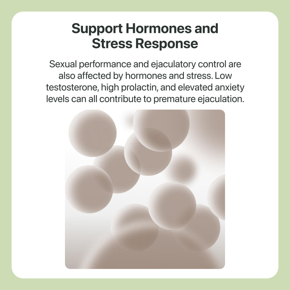 Formula 03: Testosterone Boosting - The Coach Shop