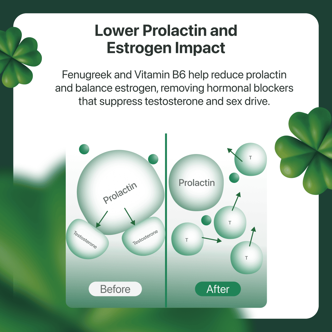 Formula 03: Testosterone Boosting - The Coach Shop