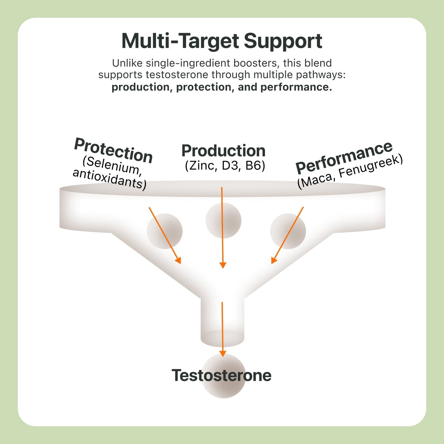 Formula 03: Testosterone Boosting - The Coach Shop