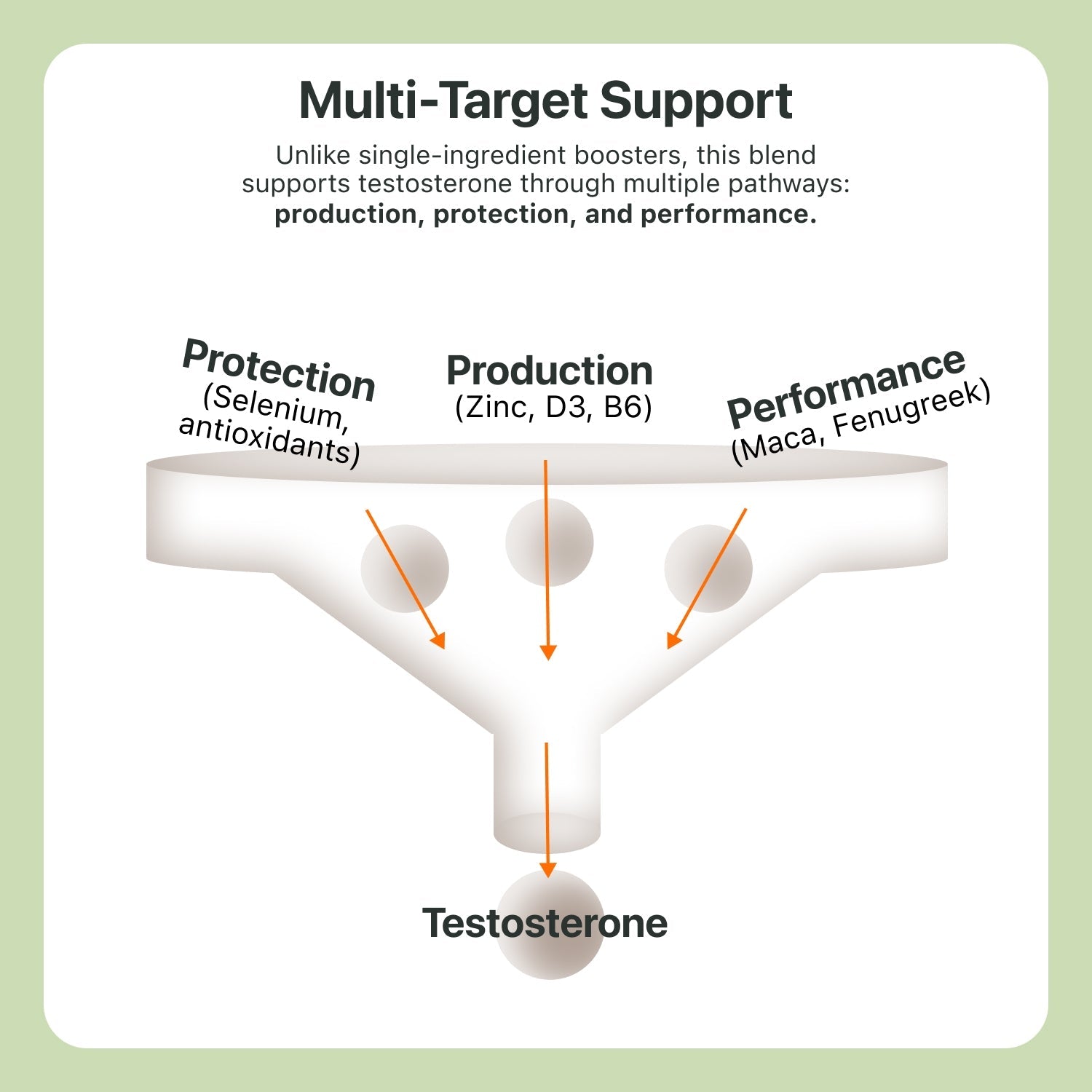 Formula 03: Testosterone Boosting - The Coach Shop