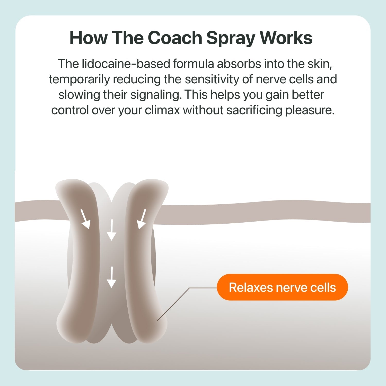 The Coach Delay Spray - The Coach Shop