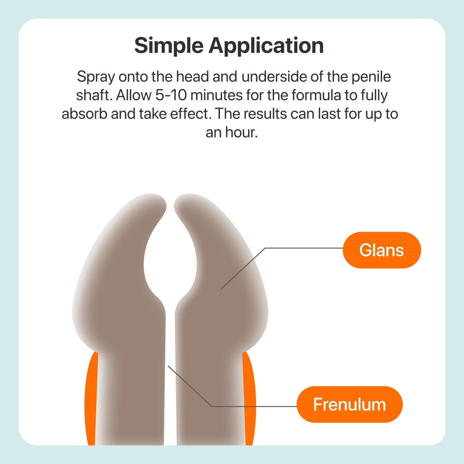 The Coach Delay Spray - The Coach Shop