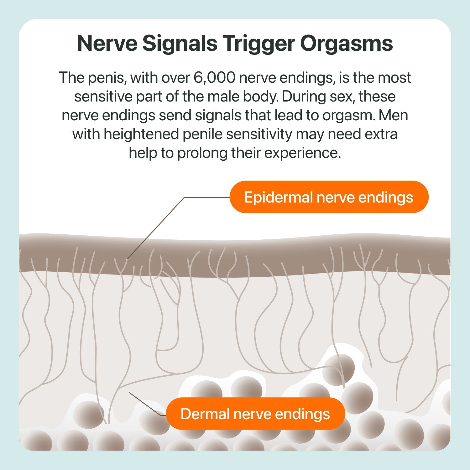 The Coach Delay Spray - The Coach Shop