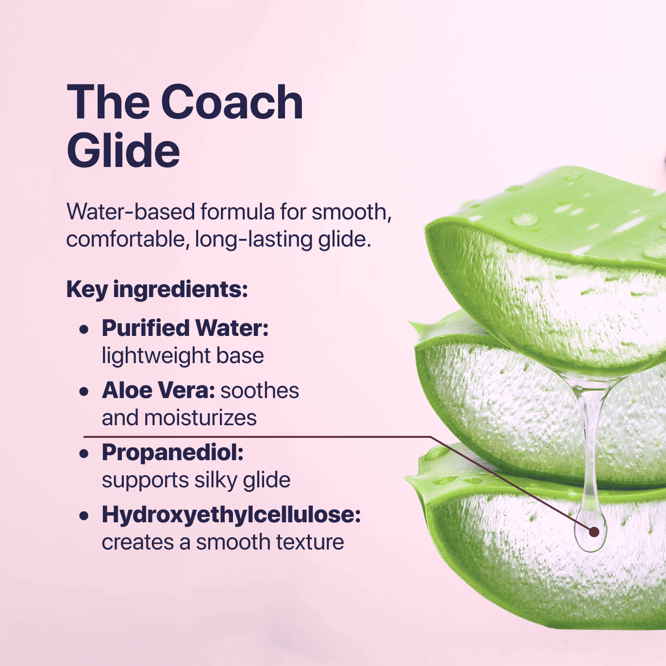 The Intimacy Reset Bundle - The Coach Shop